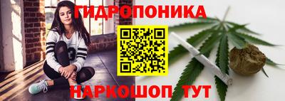 гидропоника Гатчина