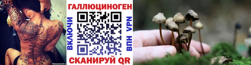 как найти наркотики  Красный Сулин  Галлюциногенные грибы GOLDEN TEACHER 