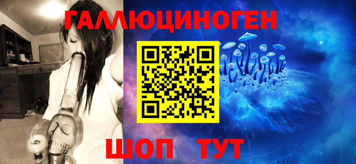 Псилоцибиновые грибы GOLDEN TEACHER  Вход с VPN  Красный Сулин 